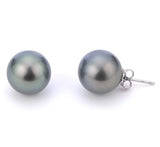 14K White Gold Natural Color Tahitian Pearl Stud Earrings, 10 - 11 mm