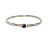 Stainless Steel Blue Lapis Bangle w/ Sterling Silver & 18KY Accents