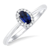 10KW Diamond and Sapphire Ring w/ 0.07 ctw